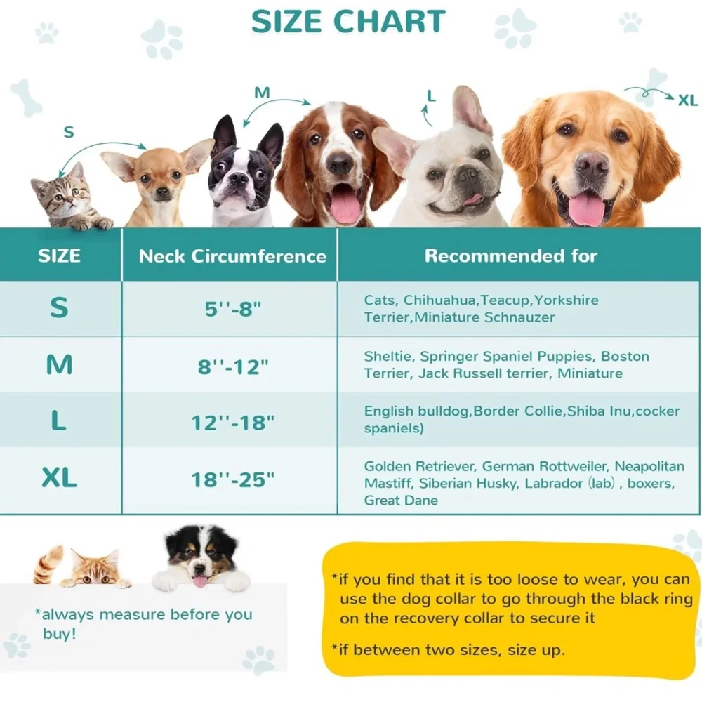 Bilibara Inflatable Dog Collar Size Medium Teal Color Recovery Surgery Cone New